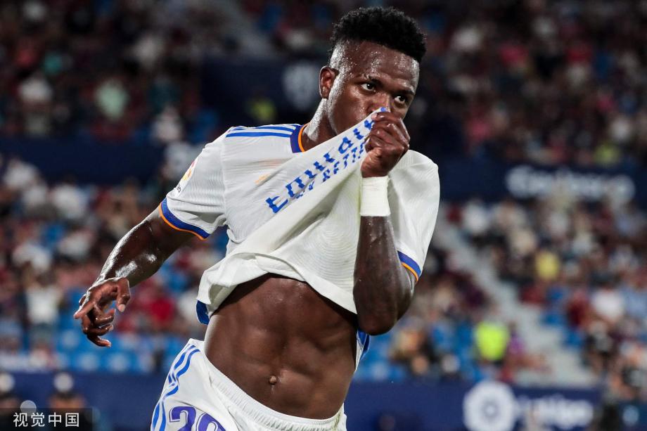 的关节和肌 的关节和肌