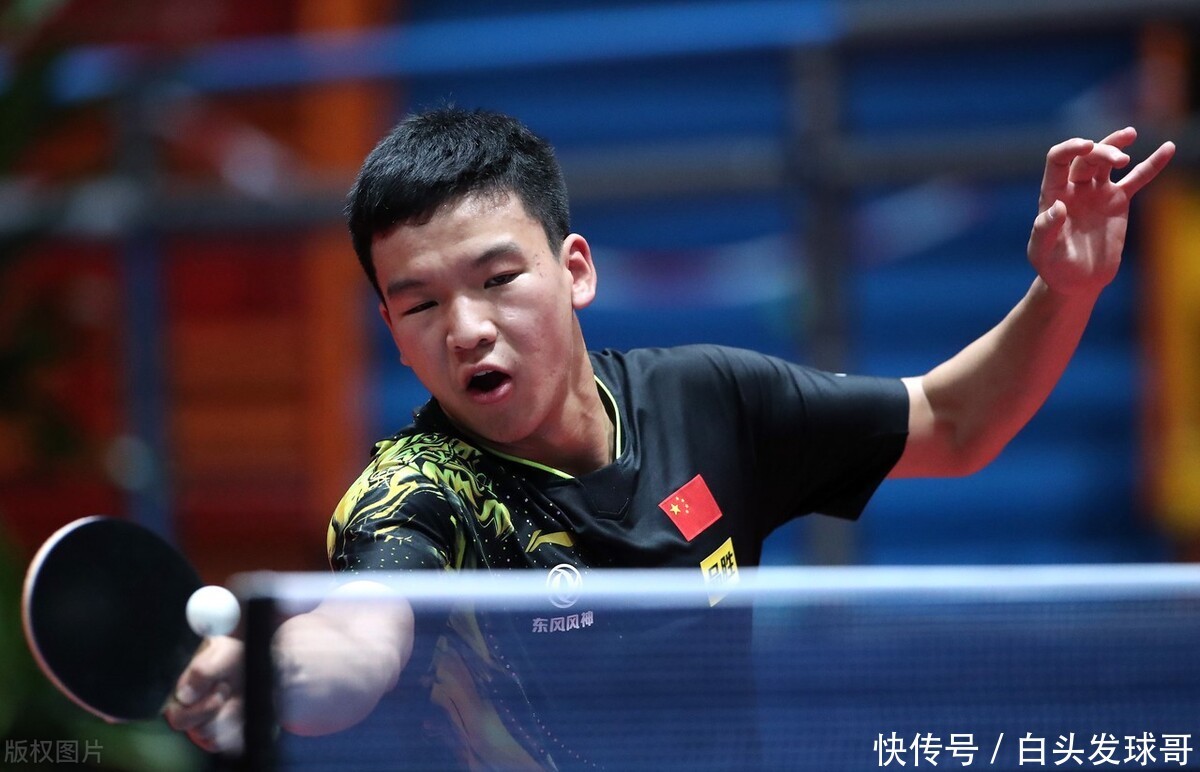 调整和适应 调整和适应