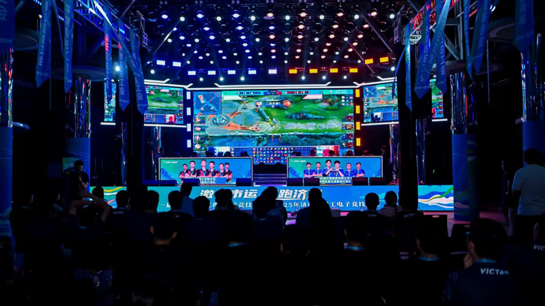 找反弹的机 找反弹的机