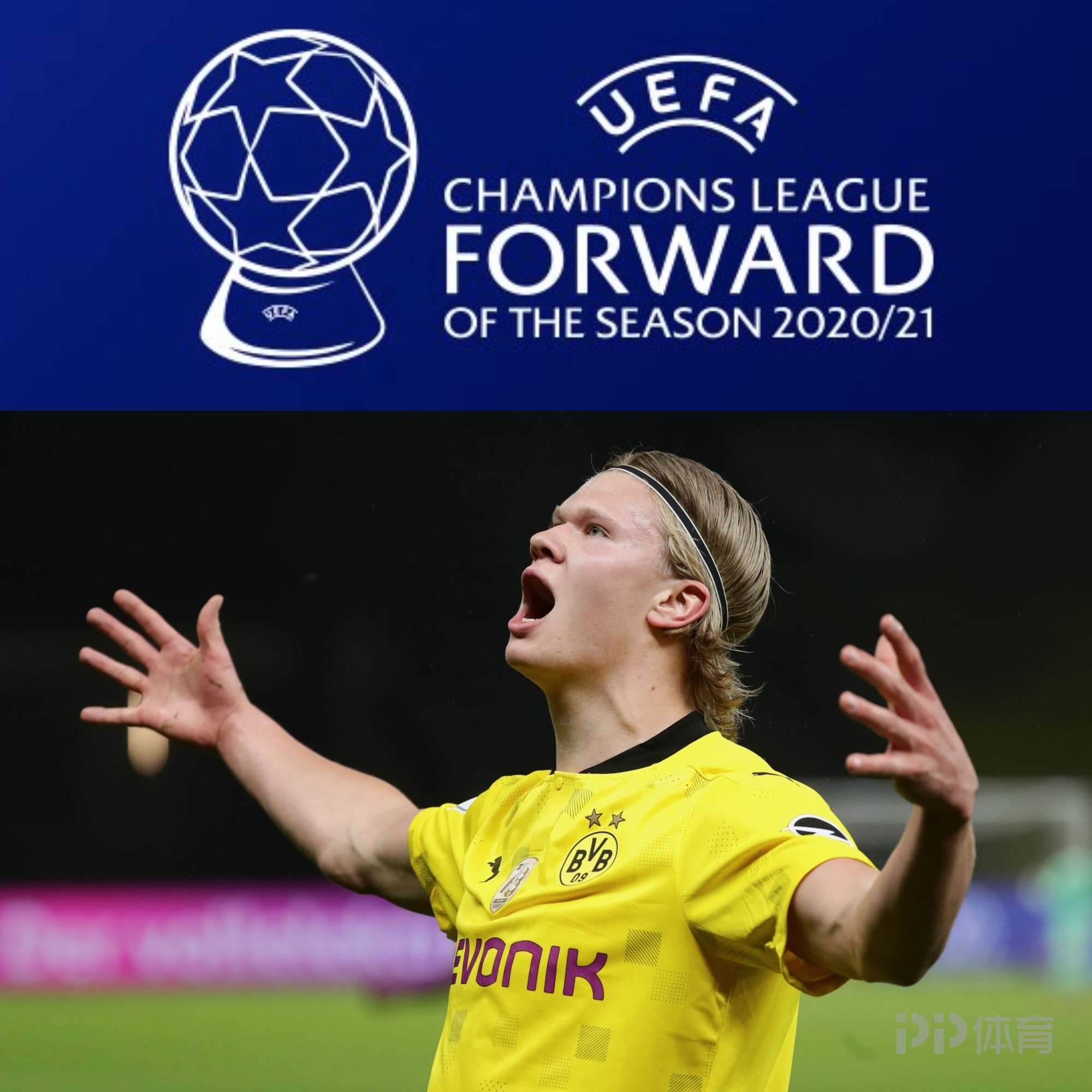 中标注样本 中标注样本